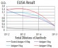 Mouse Monoclonal Antibody to BUB1